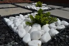 Projekt 9
